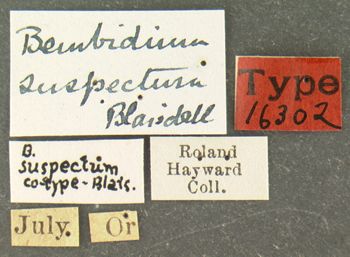 Media type: image;   Entomology 16302 Aspect: labels
